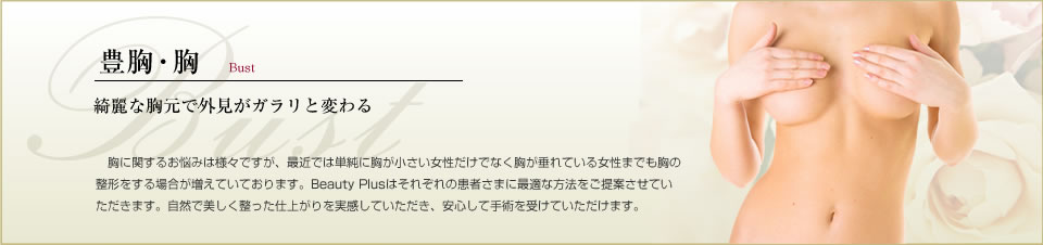 豊胸・胸