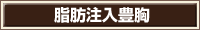 脂肪注入豊胸