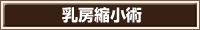 乳房縮小術
