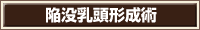 陥没乳頭形成術