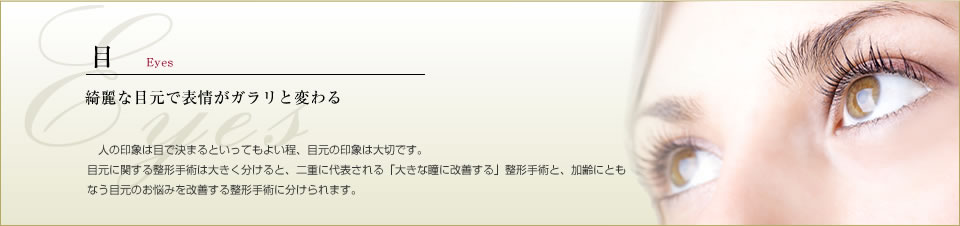 目の美容