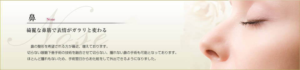 鼻の美容