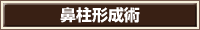 鼻柱形成術