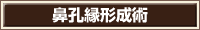 鼻孔縁形成術