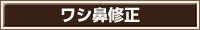 ワシ鼻修正
