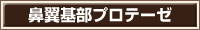 鼻翼基部プロテーゼ