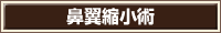 鼻翼縮小術