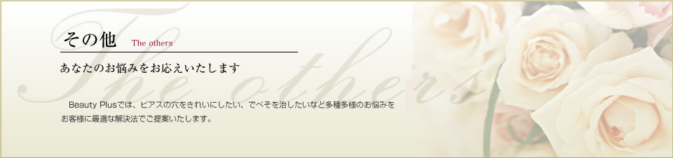 その他