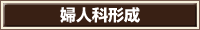 婦人科形成