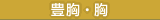 豊胸・胸